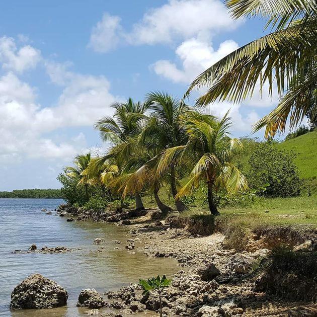 Dadi'S Little Paradis Sainte-Rose Bagian luar foto