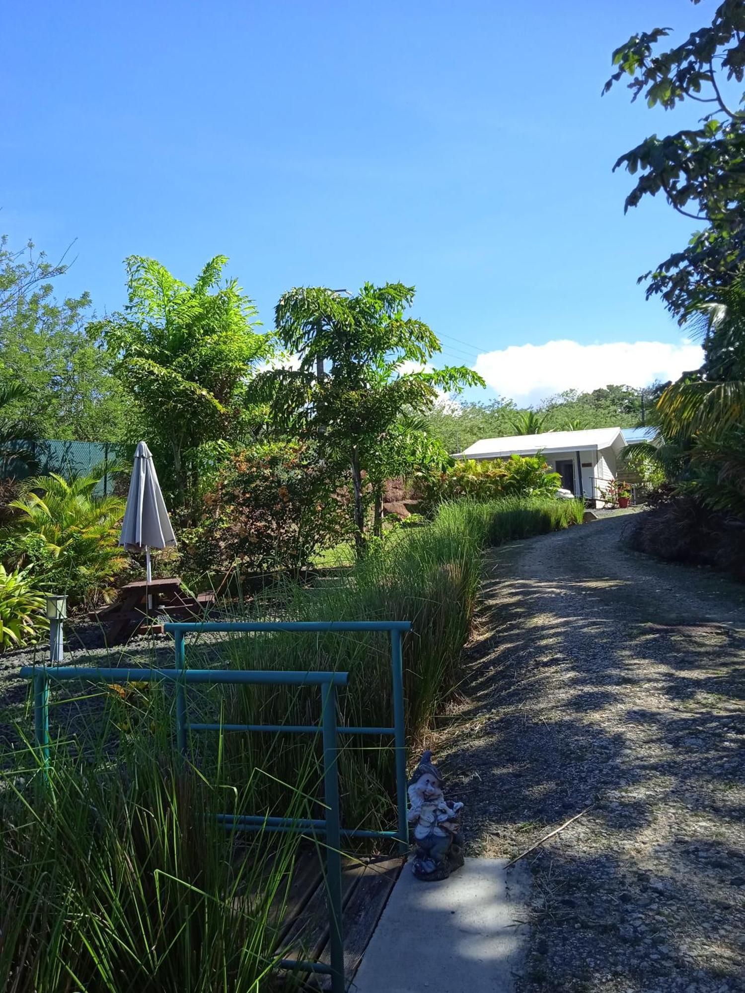 Dadi'S Little Paradis Sainte-Rose Bagian luar foto