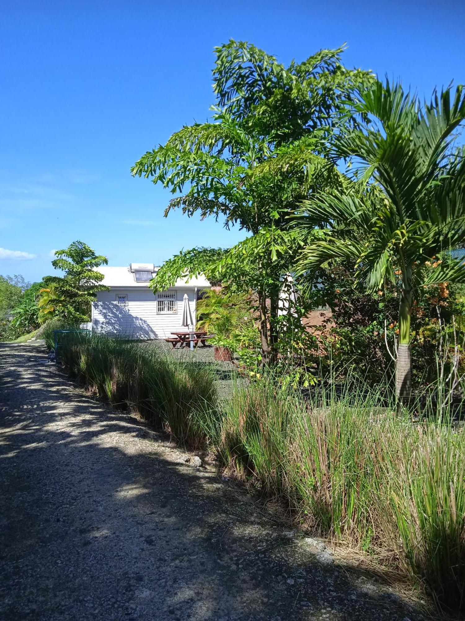 Dadi'S Little Paradis Sainte-Rose Bagian luar foto