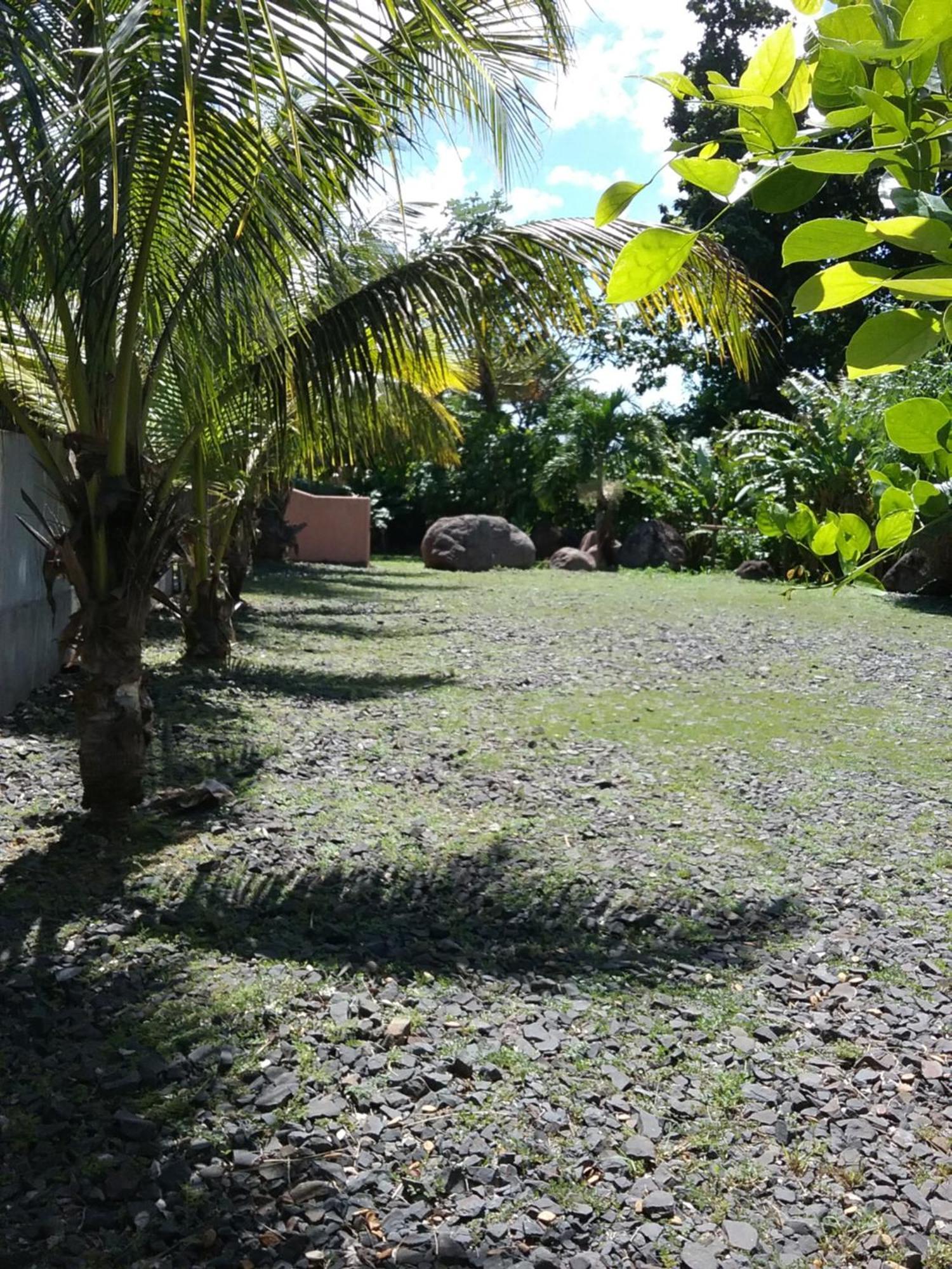 Dadi'S Little Paradis Sainte-Rose Bagian luar foto