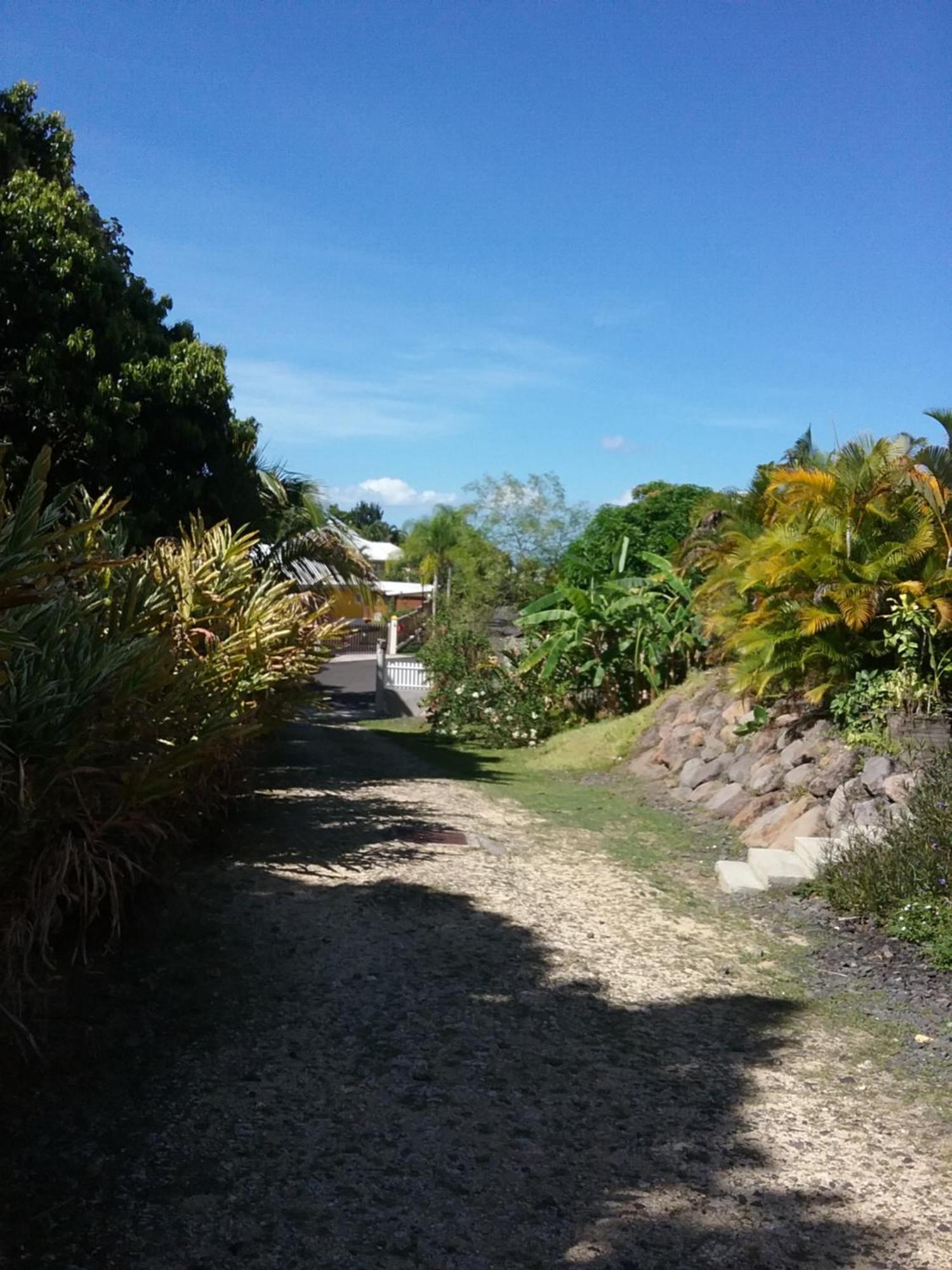 Dadi'S Little Paradis Sainte-Rose Bagian luar foto