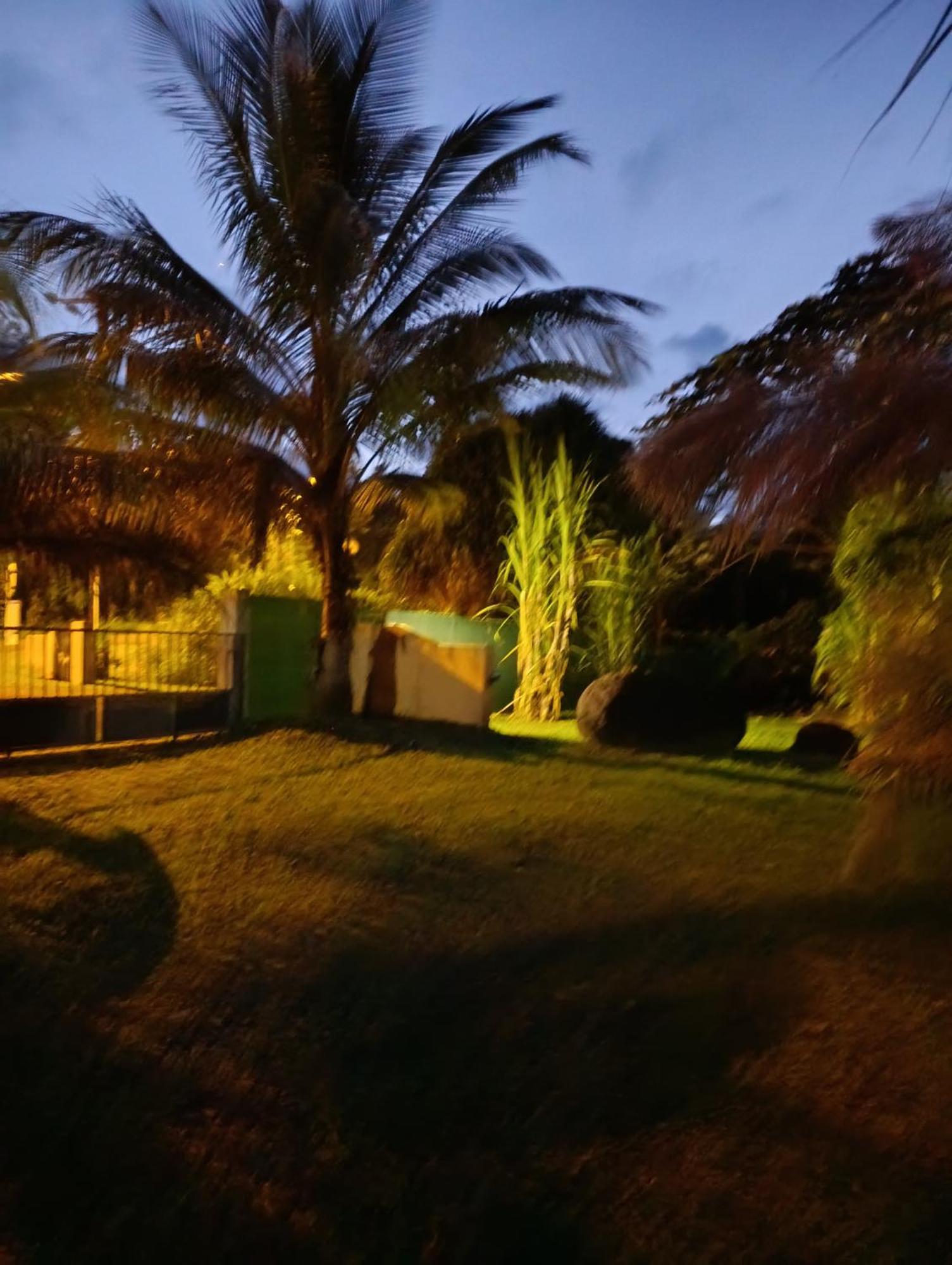 Dadi'S Little Paradis Sainte-Rose Bagian luar foto