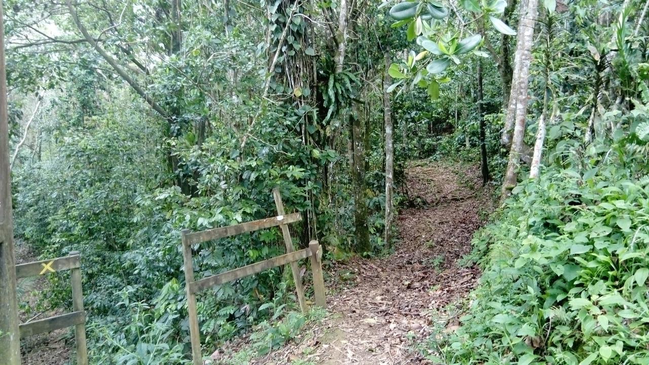 Dadi'S Little Paradis Sainte-Rose Bagian luar foto