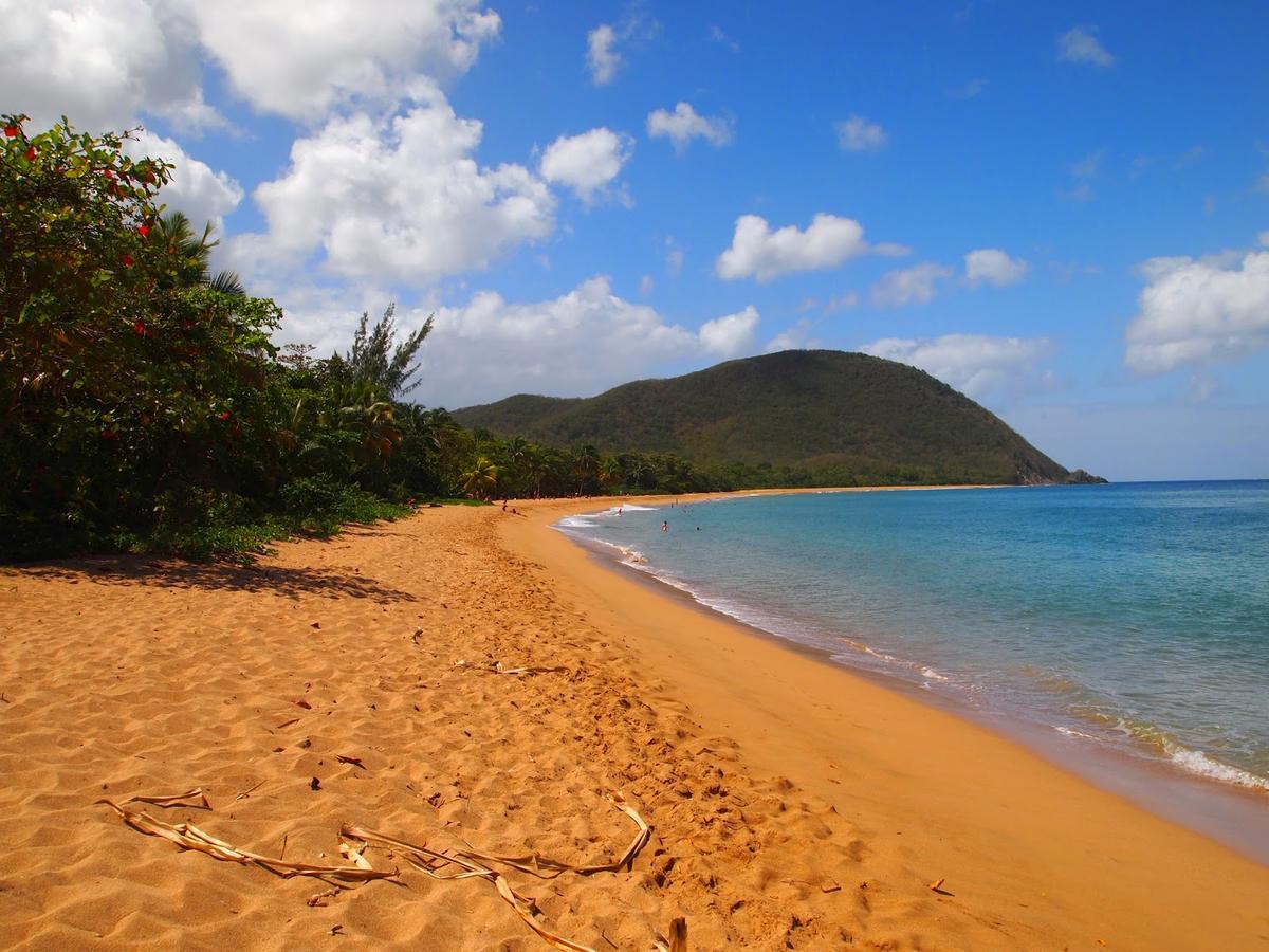 Dadi'S Little Paradis Sainte-Rose Bagian luar foto